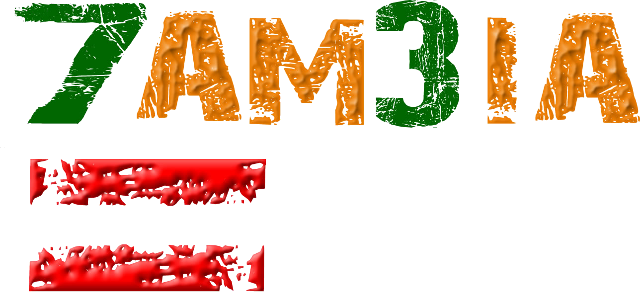 73=ONE | The Zambia Equation
